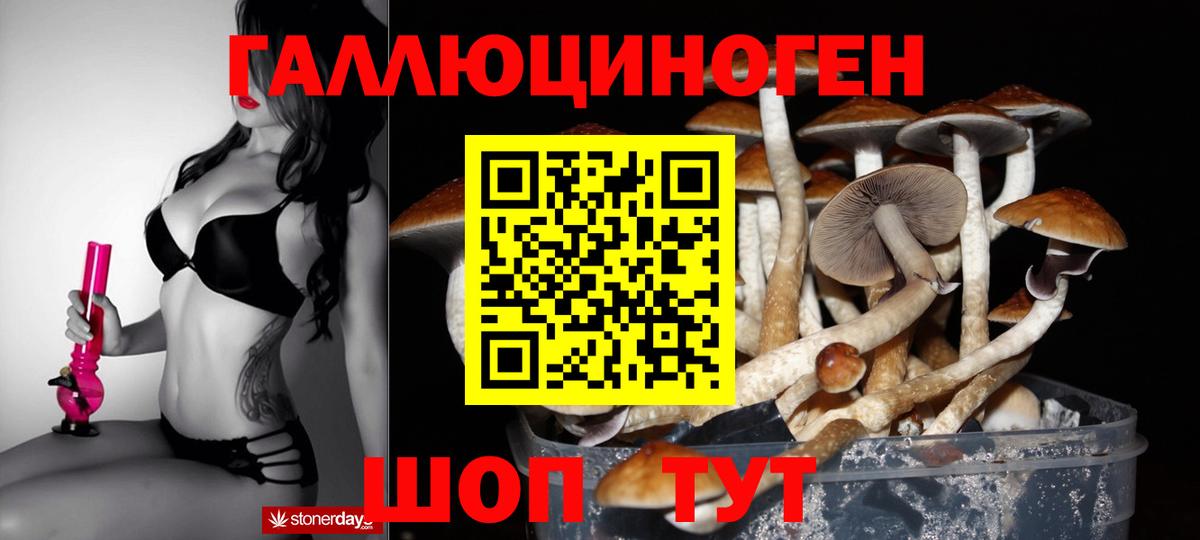 Галлюциногенные грибы Cubensis  Вход с VPN  Нижний Тагил 